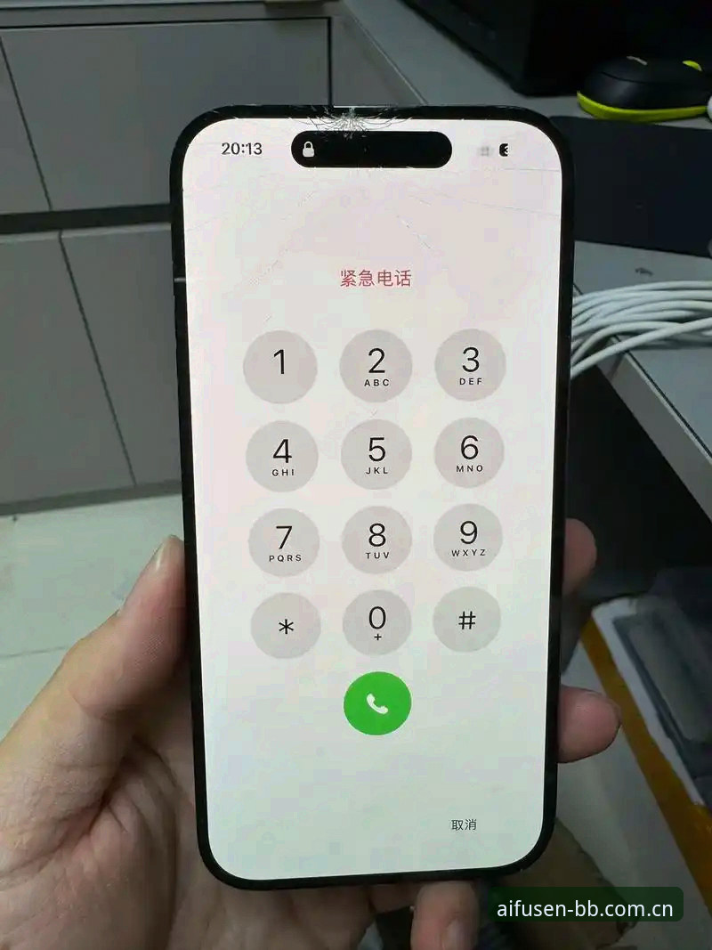 BB爱娱乐平台vsAIFUSEN苹果版：哪个更适合你的娱乐需求？实战对比指南